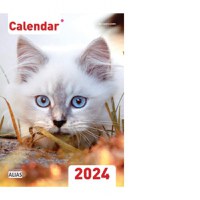 Calendar de perete 2024. Pisici (A4) - 1