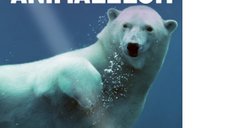 Enciclopedia fascinanta a animalelor de Claudia Martin