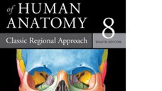 Netter Atlas of Human Anatomy. Classic Regional Approach. 8th edition