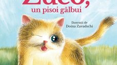 Pisoi Galbui de la Zuco - O Poveste Incantatoare