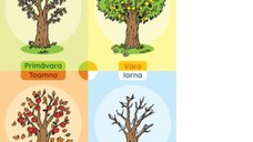 Pomul Anotimpurilor - Plansa Didactica A3 pentru Educatie