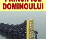 Principiul dominoului de Adam Kennedy