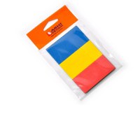 Steag Romania magnetic - 1