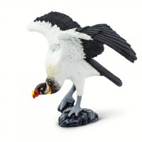 Vultur regal - 1