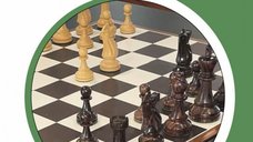 CARTE: Chess Opening Repertoire: Accelerated Dragon de Nigel Davies