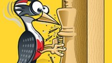 Carte : Woodpecker Method - Axel Smith  Hans Tikkanen