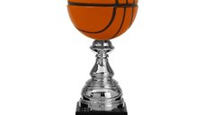 Cupa AK5378 pentru Baschet