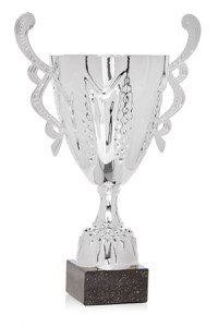 Cupa argintie MS156-King 64 - 1