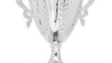 Cupa argintie MS156-King 64