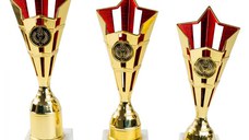 Cupa MS132 - King 64 -