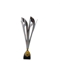 Cupa MS134 - King 64 - 1