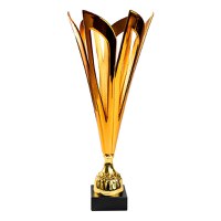 Cupa MS134 - King 64 - 1