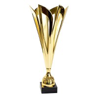 Cupa MS134 - King 64 - 1