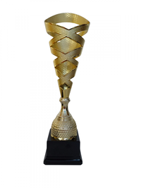 Cupa MS165 - King 64 - 1