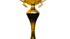 Cupa MS167 - King 64