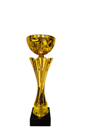 Cupa MS188, Paledo - 1