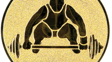 Emblema Aurie pentru Medalii si Cupe, 25mm