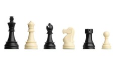 Piese de sah din plastic DGT Staunton 5