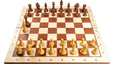 Piese lemn Staunton 6 Design Alban cu Tabla lemn no 6 pliabila artar