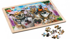 Puzzle in cadru de lemn, 48 piese - Pet