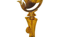 Trofeu Jucator Fotbal