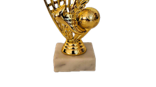 Trofeu Manusi Portar mic, MS 196