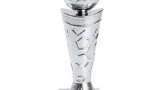 Trofeu MS105, Minge fotbal argintie