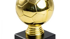 Trofeu MS114, Minge aurie Fotbal
