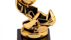 Trofeu MS77, Ghete Fotbal