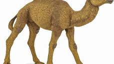 Figurina Papo - Dromader din Animale Salbatice
