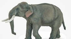 Papo Wild Animal Kingdom - Figurina elefant asiatic, gri