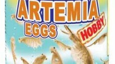 DAJANA Artemia Eggs Hobby - Hrană pentru puiet, cu ouă de Artemia 100ml