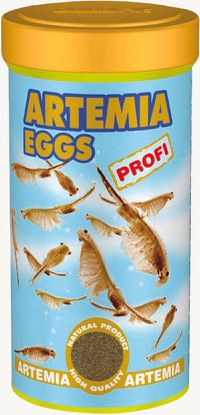 DAJANA Artemia Profi Hrană pentru puiet, Ouă de Artemia Salina 40g (100 ml) - 1