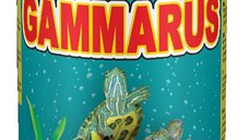 DAJANA Gammarus Hrană pentru broaşte ţestoase