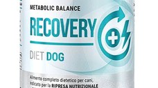 DISUGUAL Recovery conservă pentru câini, cu carne de raţă 400g