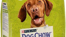 DOG CHOW Hrană uscată pentru câini Adult All Breed, cu Pui