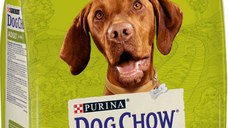 DOG CHOW Hrană uscată pentru câini Adult, cu Miel şi Orez