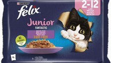 FELIX Fantastic Pachet plicuri JUNIOR pentru pisicuţe, cu Pui 4x85g