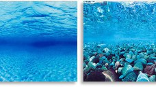 FERPLAST Decor foto pentru acvariu, cu 2 feţe, Albastru