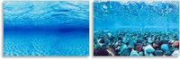 FERPLAST Decor foto pentru acvariu, cu 2 feţe, Albastru - 1
