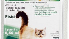 FRONTLINE Combo Fiolă pentru pisici, 1 bucată