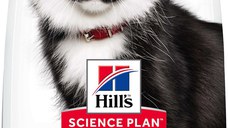 HILL's SP Feline Mature Sterile, cu Pui