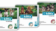 KILTIX (Bayer) Colier împotriva puricilor şi căpuşelor pentru câini