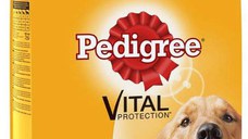 PEDIGREE Hrană uscată pentru câini Adult, cu Pasăre şi Legume