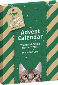 ROSEWOOD Calendar Advent de Crăciun - recompensă pentru pisici 70g - 1