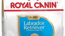 ROYAL CANIN BHN Labrador Retriever Puppy