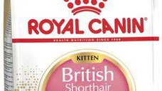 ROYAL CANIN FBN KITTEN British Shorthair