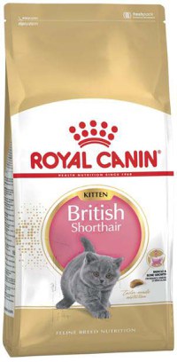 ROYAL CANIN FBN KITTEN British Shorthair - 1