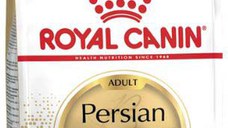 ROYAL CANIN FBN Persian 30