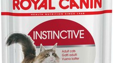 ROYAL CANIN FHN Instinctive Plic în Aspic pentru pisici 85g